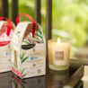 Refillable Candle 180gr Incense and Black Tea - Nature Universe
