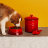Taça Média para Animais Cerise 450ml - Pets