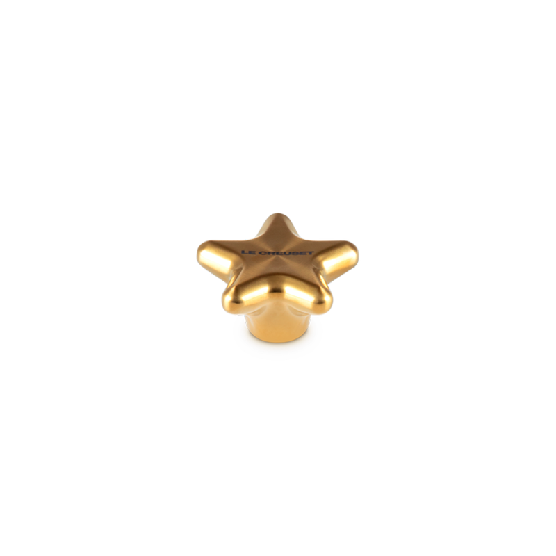 Pega 5,7cm Estrela Dourado - Signature