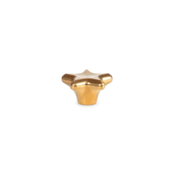 Pega 5,7cm Estrela Dourado - Signature