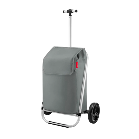Carrito de Compras Gris - Shopping Trolley