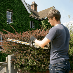 Corta-sebes Elétrico 600W com HedgeSweep 60cm RYOBI