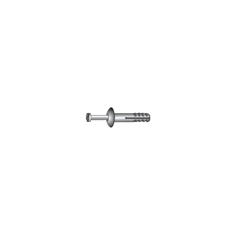 CHEMITOOL Hammer in Polyamide Plug 6x25 White Zinc Plated (Box) CHEMITOOL Hammer in Polyamide Plug 6x25 White Zinc Plated (Box)