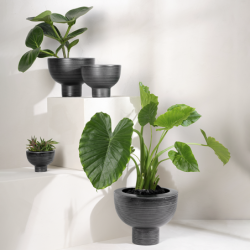 Vaso com Pé Preto 15,5cm - Midoro
