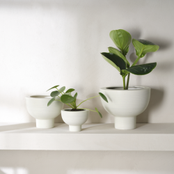 Vaso com Pé Soft Shell 24cm - Midoro
