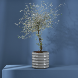 Planter Cool Grey 14cm - Loopy