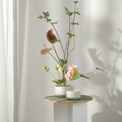 Taça Hasu 16,5cm - Moribana