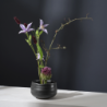 Cuenco Kombu 16,5cm - Moribana
