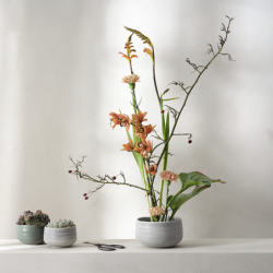 Taça Ishi 16,5cm - Moribana