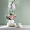Vase Champignon 11cm - Belly