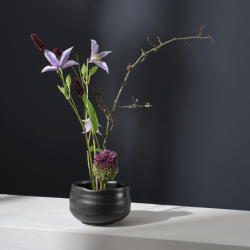 Cuenco Kombu 12cm - Moribana