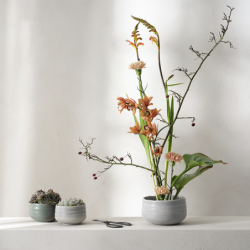 Cuenco Matsu 12cm - Moribana