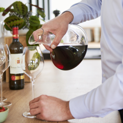 Decanter for Young Red Wines - Evolution