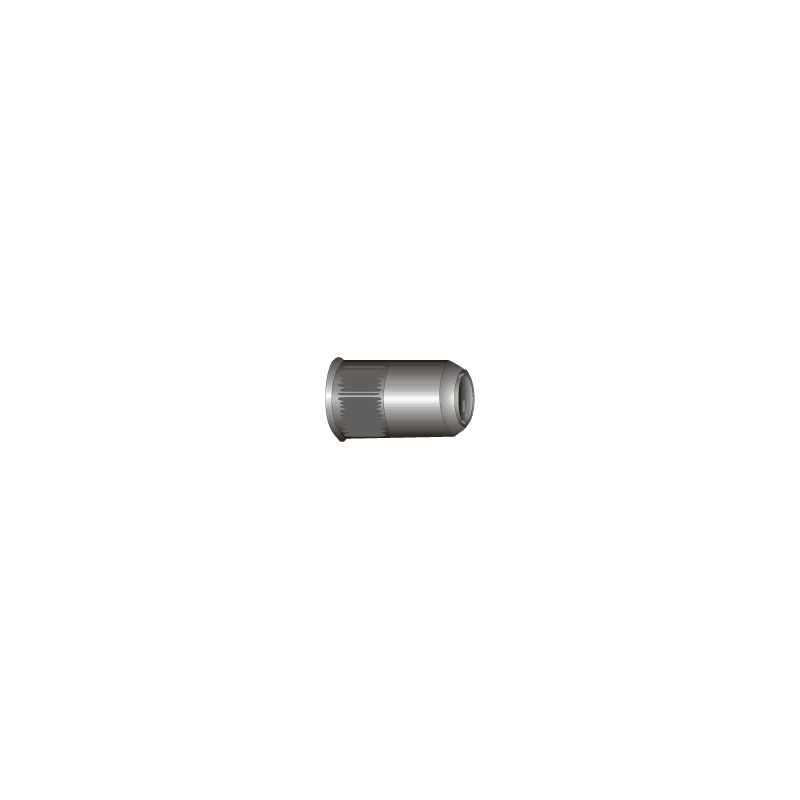 CHEMITOOL Rebit Nut Reduced Head LV 9202 M4 Passivated Stainless Steel CHEMITOOL Rebit Nut Reduced Head LV 9202 M4 Passivated Stainless Steel