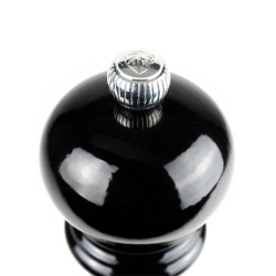 Salt Mill 30cm Black Gloss - Paris U'Select Z