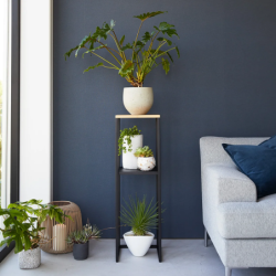 TOWER 2-TIERED SHELF WITH WOODEN TOP BK