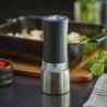 Electric Salt Mill 16cm Black - Daman Z
