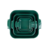 Square Baking Dish Green 21cm - Appolia