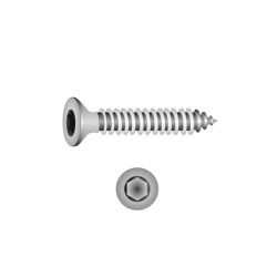 CHEMITOOL FASTENERS Self-Tapping Screw Extra Flat Head TORX 4,8X13 DIN 7982C-A2