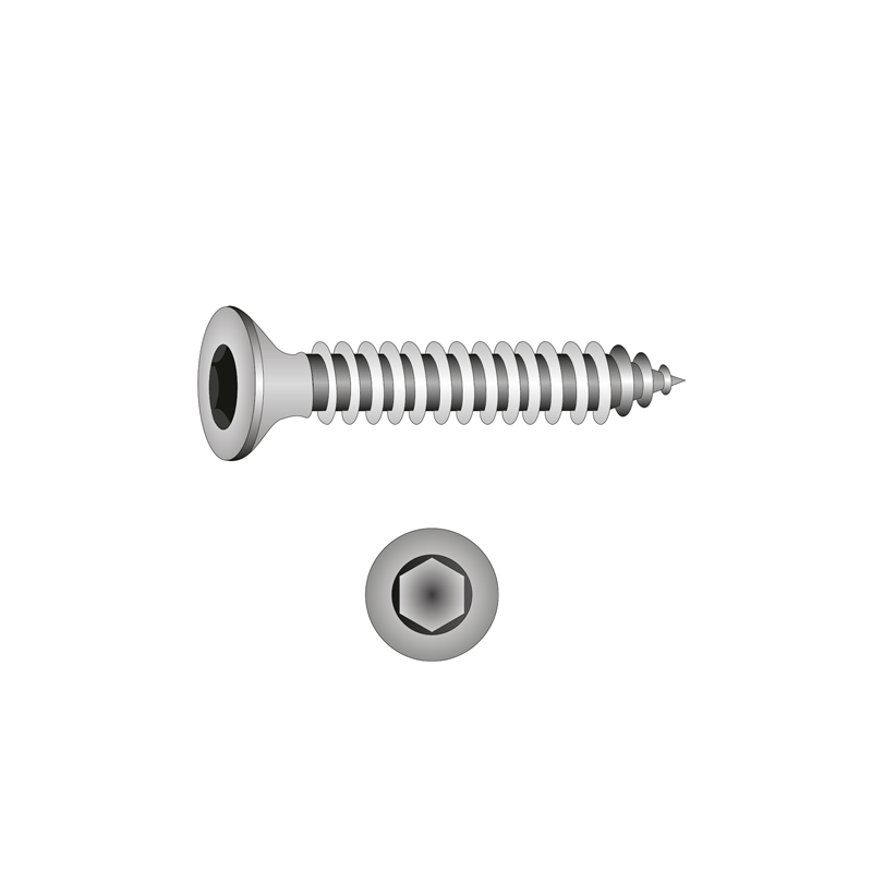CHEMITOOL FASTENERS Self-Tapping Screw Extra Flat Head TORX 4,8X32 DIN 7982C-A2 CHEMITOOL FASTENERS Self-Tapping Screw Extra Flat Head TORX 4,8X32 DIN 7982C-A2