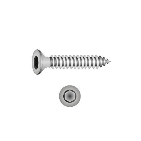 CHEMITOOL FASTENERS Self-Tapping Screw Extra Flat Head TORX 4,8X32 DIN 7982C-A2