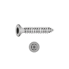 CHEMITOOL FASTENERS Self-Tapping Screw Extra Flat Head TORX 4,8X32 DIN 7982C-A2