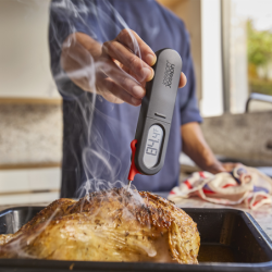Digital Probe Thermometer - ThermaPoint