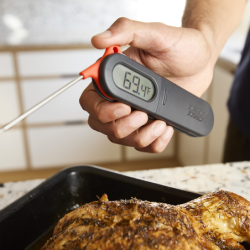 Digital Probe Thermometer - ThermaPoint