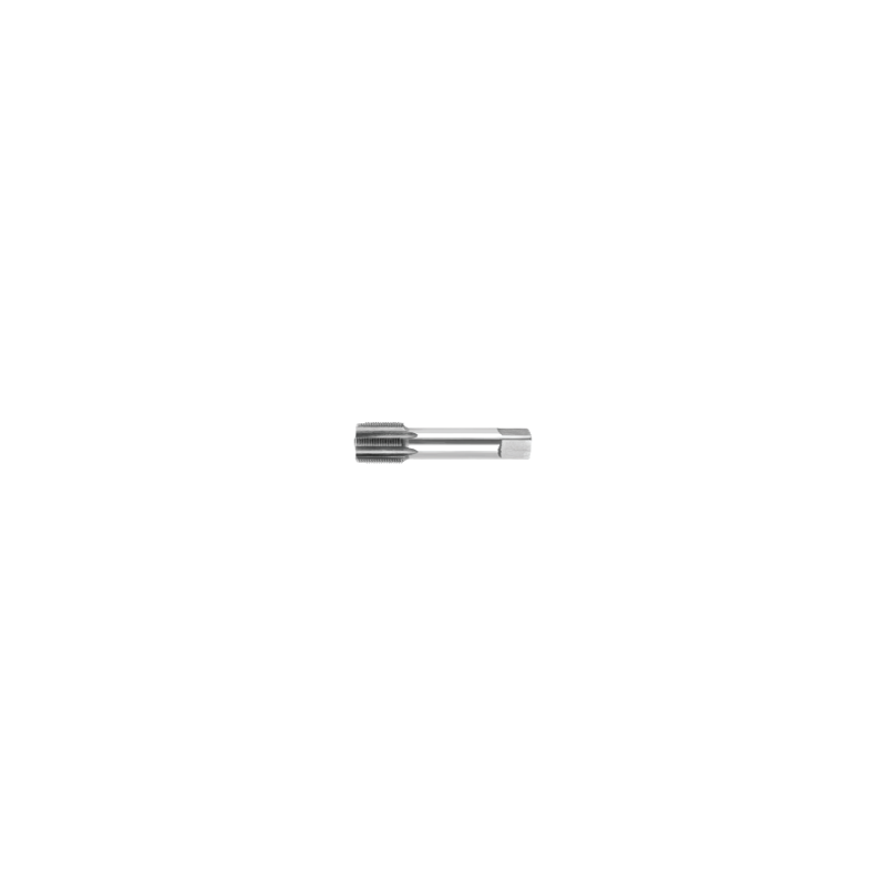 Macho BSP HSS 3/4 (Final) SOMTA