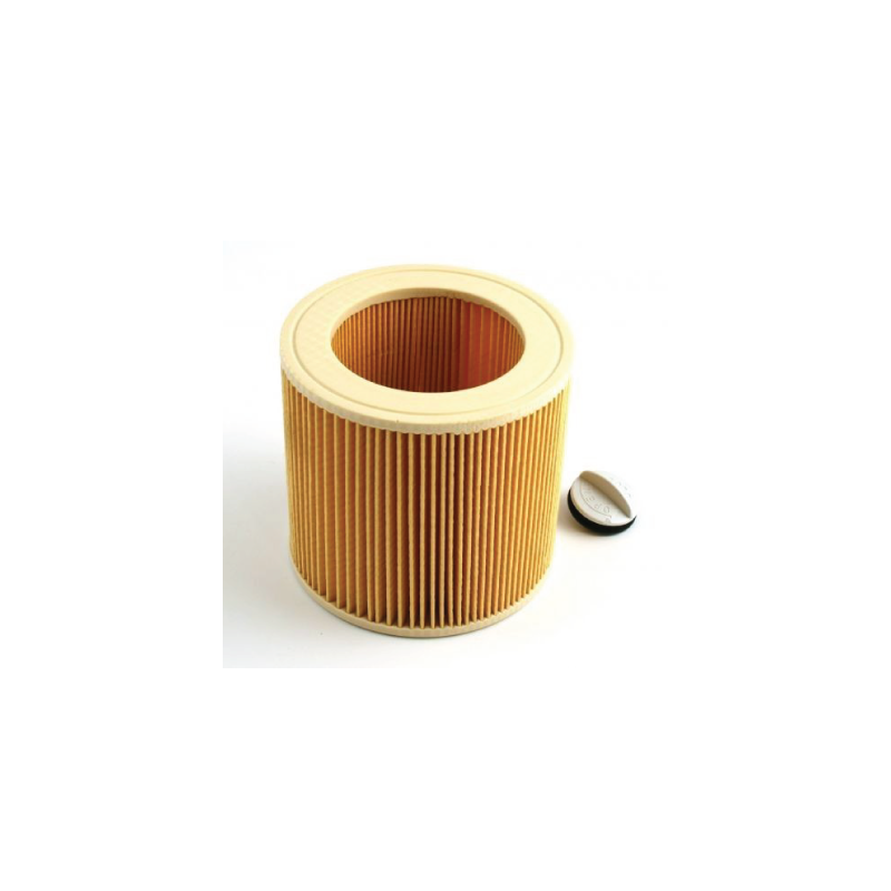 Filtro Cartucho para Aspirador de Sólidos e Liquidos AP2-200 ELCP AEG