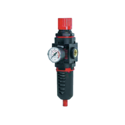 BELFLEX Regulator with Pressure Gauge, Filter and Semi-automatic Drainage 940/12