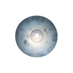 BELFLEX Steel Disc Ø 250 mm for Circular Sawing Machine for HSS Disc BF-250-TF