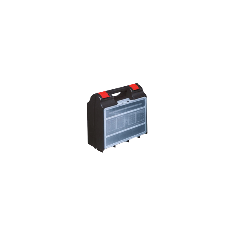 00400*ORGANIZER