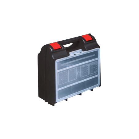 00400*ORGANIZER