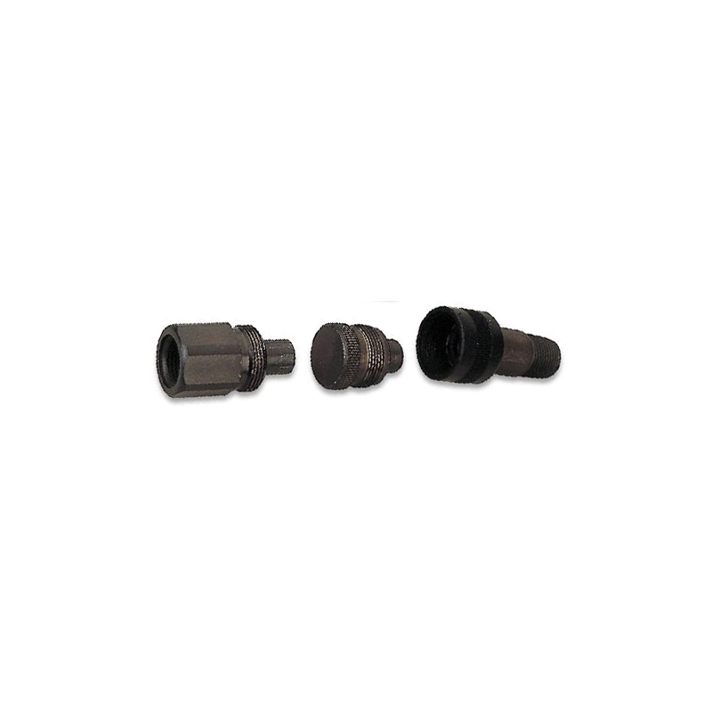 LIGACAO FEMEA