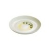 Coupe Gourment Plate Ø24Cm - Kolibri