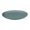 Plato de Cena Fuji - Nesuto