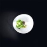 Prato de Sobremesa 12,5cm – Light
