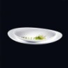 Prato de Porcelana 25,9cm - Light