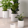 White Cylindre Vase 23cm - Haruko