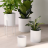 White Cylindre Vase 29cm - Haruko
