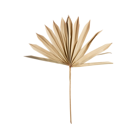 Artificial Flower 3x Leaf Palm 20-30cm - Deko