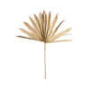 Artificial Flower 3x Leaf Palm 20-30cm - Deko