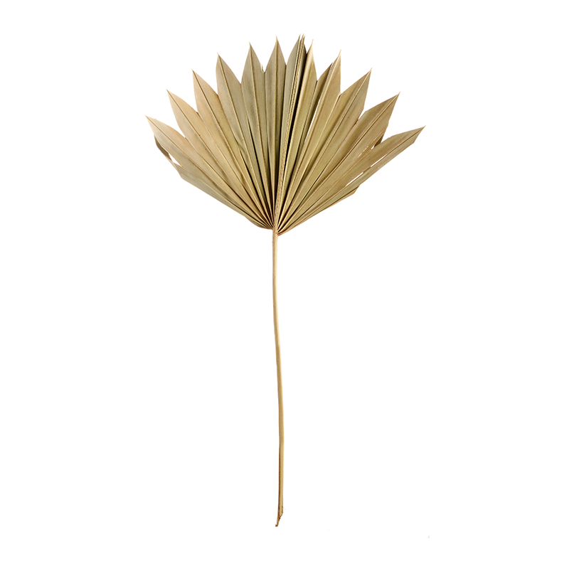 Artificial Flower 3x Leaf Palm 30-40cm - Deko
