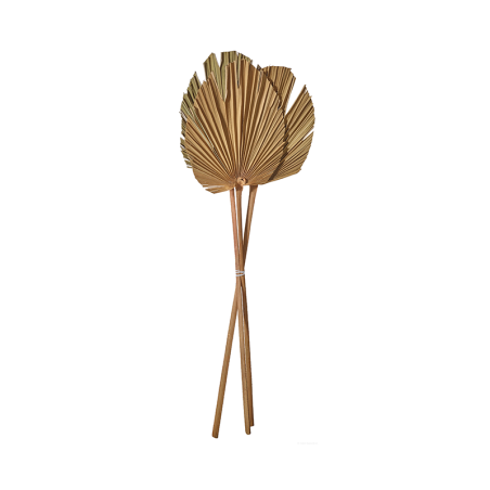 Palmspear 3 Pieces in a Bunch 60-70cm - Deko