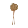 Palmspear 3 Pieces in a Bunch 60-70cm - Deko