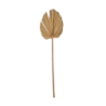 Palmspear 3 Pieces in a Bunch 60-70cm - Deko