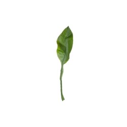 Lily Leaf Twig - Deko