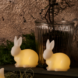 Set of 2 Rabbits in Led White - Elin