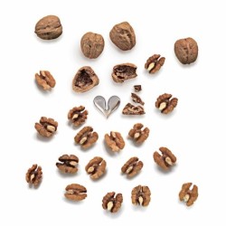 Walnut Opener - Nut Splitter
